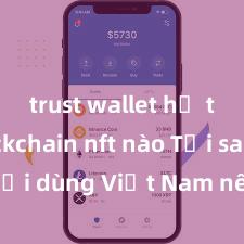 trust wallet hỗ trợ blockchain nft nào Tại sao người dùng Việt Nam nên sử dụng Trust Wallet? Lợi ích và rủi ro